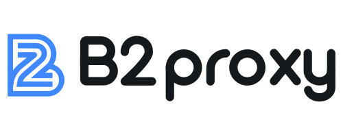 穿云API的合作伙伴 - B2Proxy