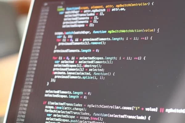 2015243515 1.jpg