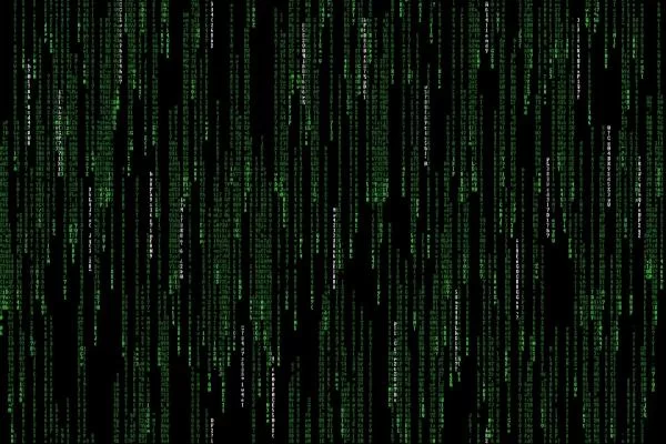 202605180181.jpg