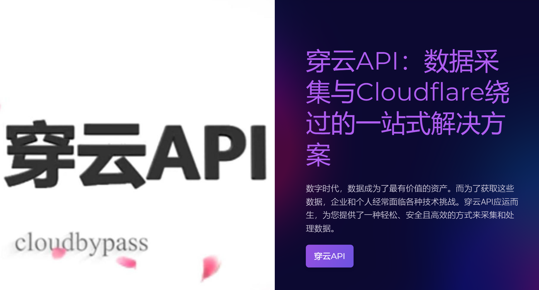 保护品牌，使用动态住宅IP保持网络安全